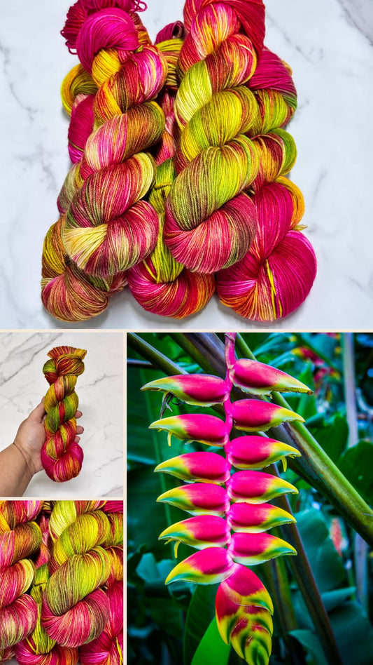 Heliconia - Premium Sock Fingering Hand Dyed