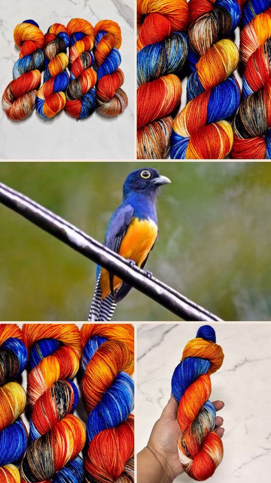 Trogon Premium Sock - Fingering Hand Dyed Yarn