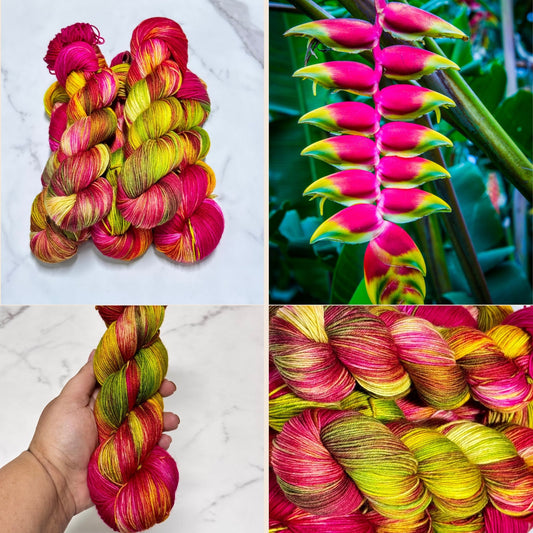Heliconia - Premium Sock Fingering Hand Dyed