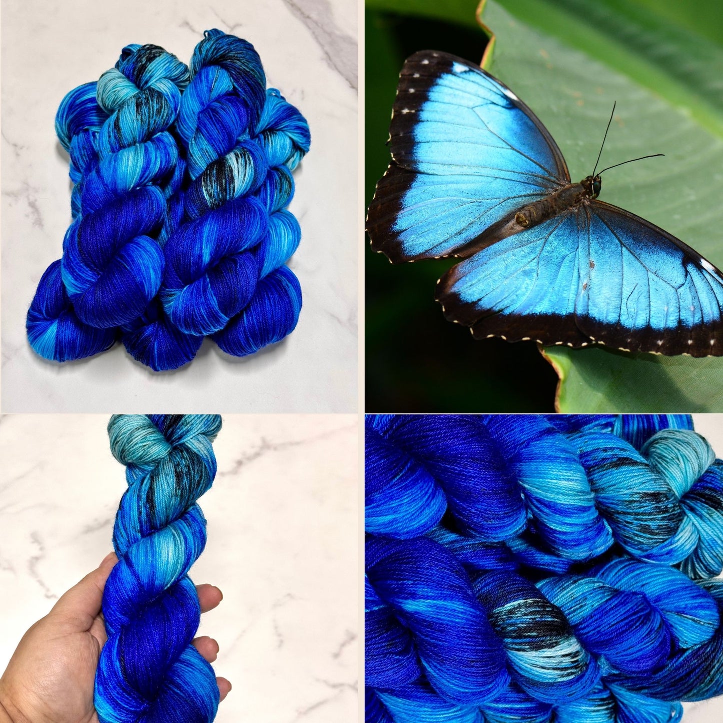 Morpho - Premium Sock