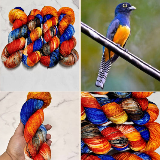 Trogon Premium Sock - Fingering Hand Dyed Yarn